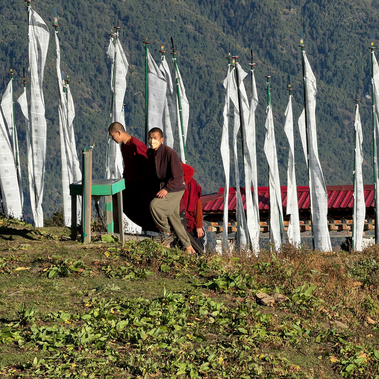 Phajoding Monastery: A Journey Into Bhutan’s Sacred Skies